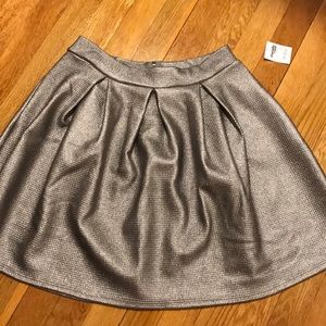 Silver Fit and Flare Skirt